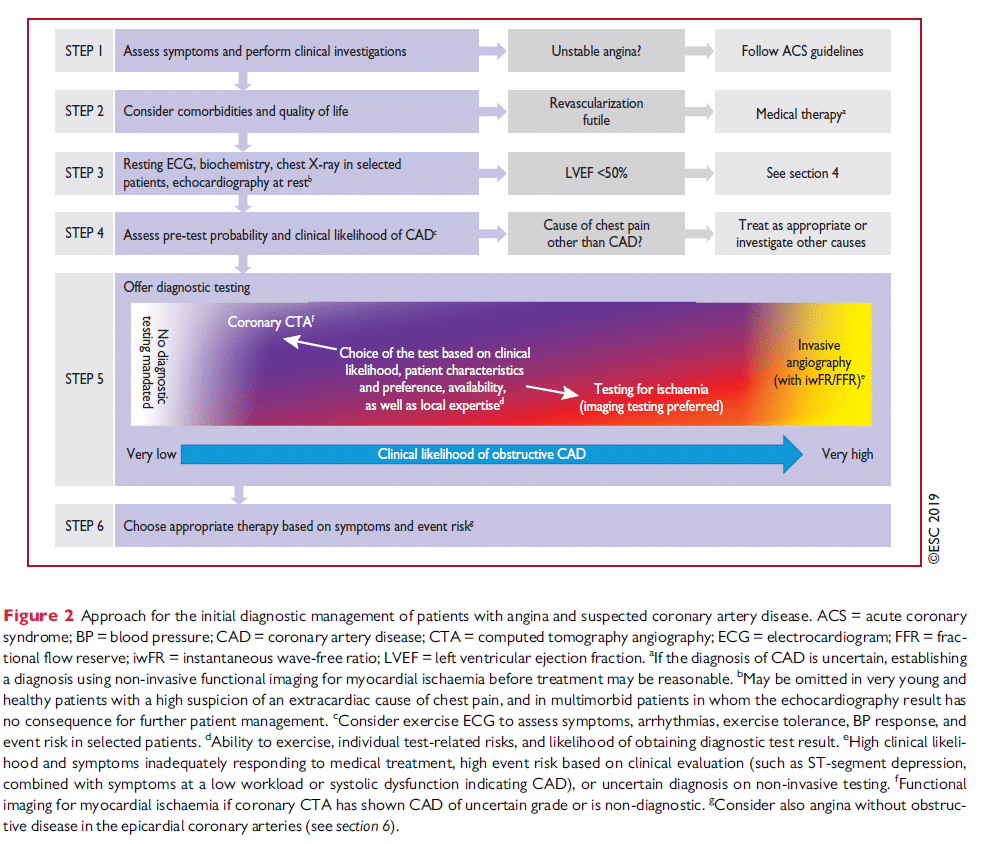 flowchart utredning stabil kranskärlssjukdom (stabil angina)
