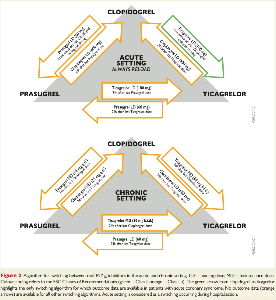 flowchart för switching emellan olika P2Y12-antagonister vid DAPT