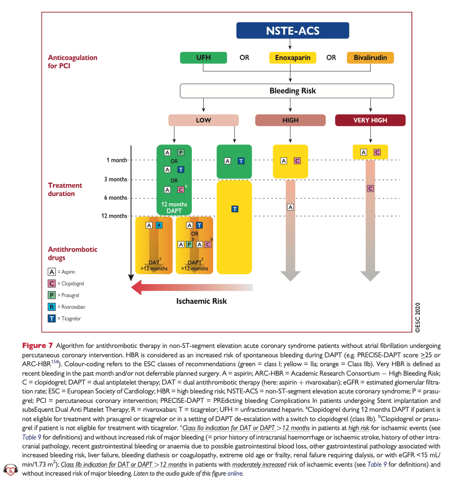 antitrombotisk terapi vid non-stemi (ESC schema)