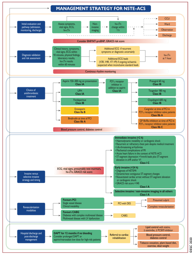 ESC-flödesschema NSTEMI/instabil angina: handläggning