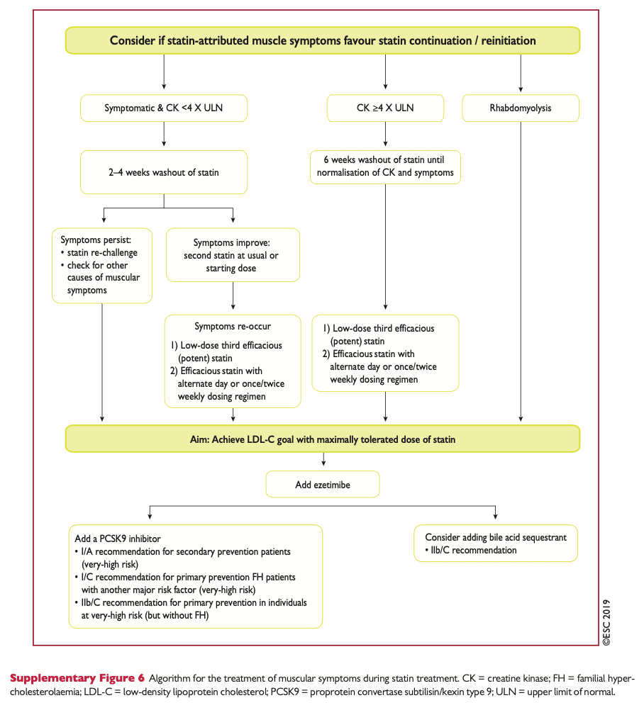 Rekomenderad handläggning vid muskulära symptom vid behandling med statiner(ESC 2019)