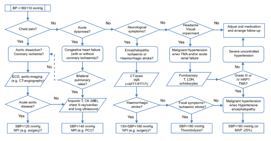 handläggningsalgoritm vid malign hypertoni, hypertensiv kris