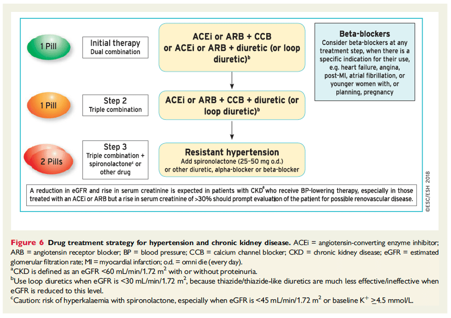 kombinationsbehandling vid hypertoni plus kronisk njursvikt