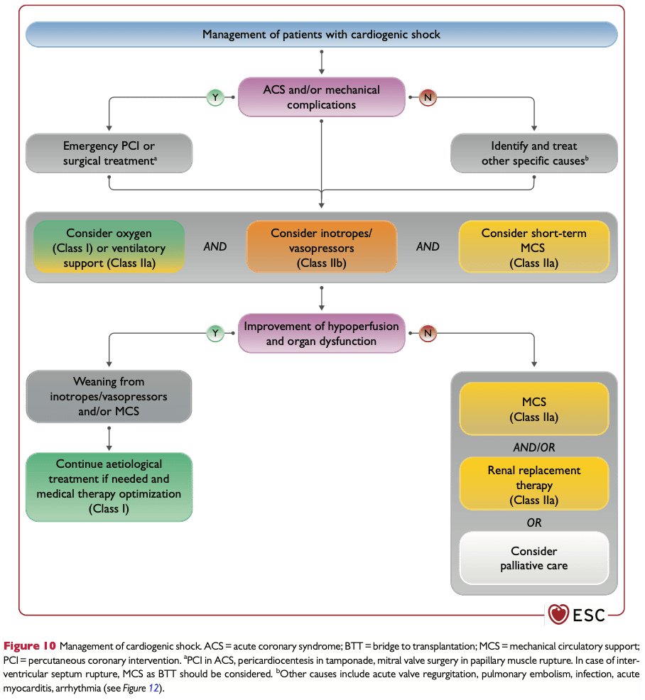 Handläggning av kardiogen chock (ESC 2021)