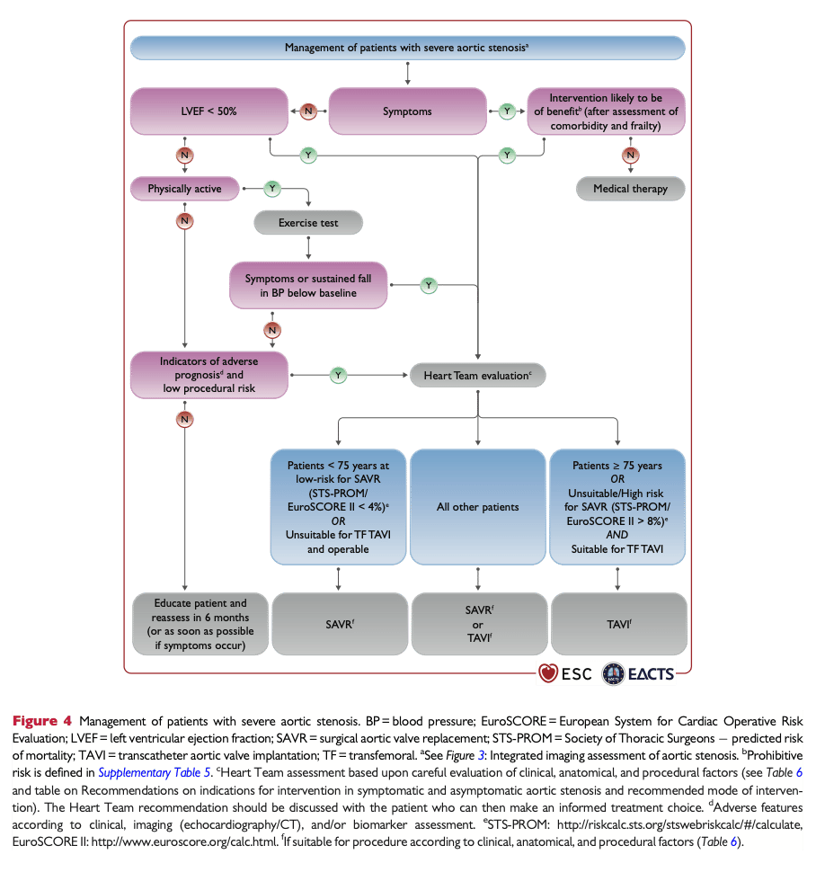 Flowchart handläggning patienter med konstaterad tät aortastenos